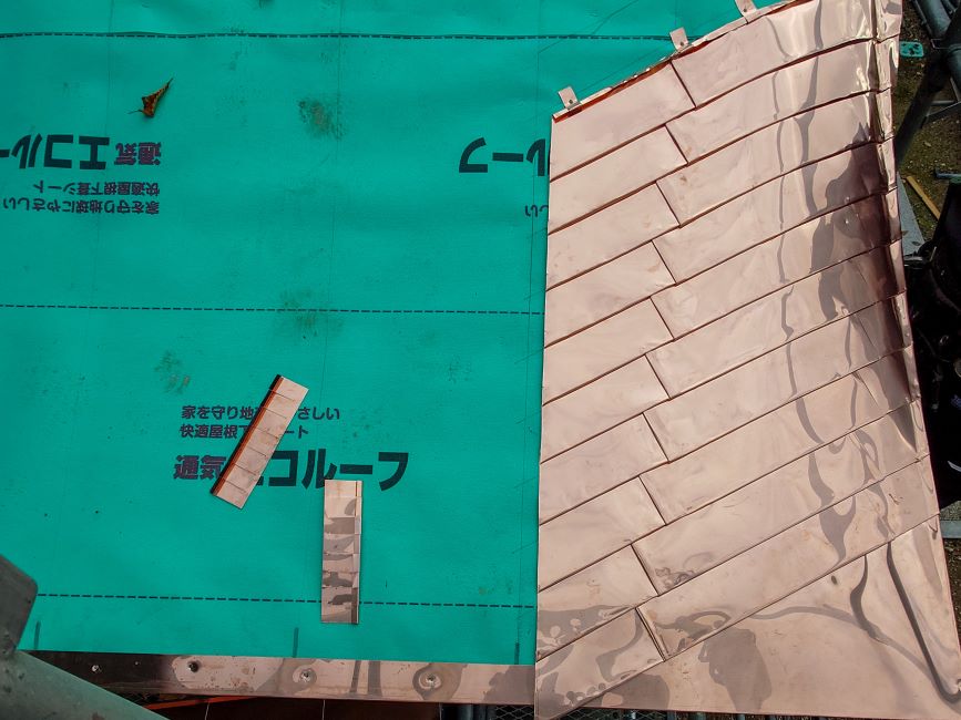 ���𕘂��Ă���l�q